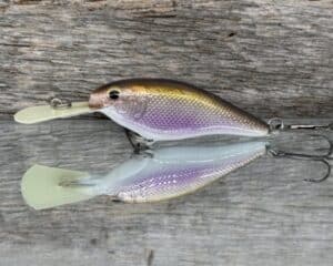 The Lure Forge - CW Shad Balsa Crankbait - Wakasagi color