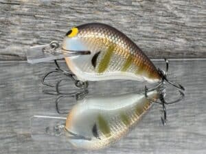 Black Label Balsa - Wreck Jr. - Signature Series Crankbait - Foiled Silver Gill Color