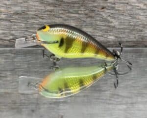 Black Label Balsa - BL 1.0 - Signature Series Balsa Squarebill - Foiled Bold Bluegill color