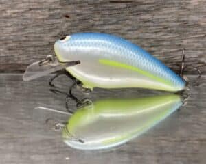 Black Label Balsa - BL 1.5 - Balsa Squarebill - Sexy Blue color