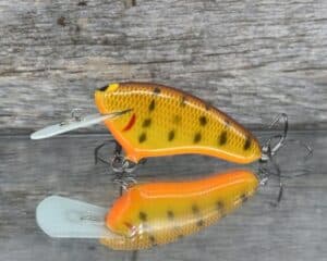 Black Label Balsa - Hickster MR- Balsa Crankbait - DC9 color