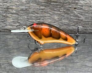 Black Label Balsa - Little Cliffie - Custom Balsa Crankbait - Fall Craw color