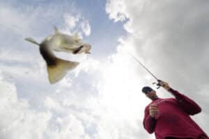 Temple Fork Outfitters Black Label 704 Cranking Rod - Image 5