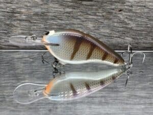 Black Label Balsa - Shiver 7 - Custom Balsa Crankbait - JB's Gill color