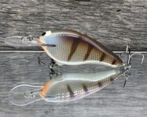 Black Label Balsa - Shiver 7 - Custom Balsa Crankbait - JB's Gill color