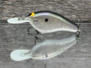 Black Label Balsa - Fat Flat - Custom Balsa Crankbait - Gizzard Shad Foil color