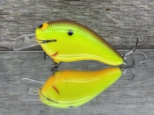 Black Label Balsa - Head Hunter - Custom Balsa Squarebill Crankbait - Horton color