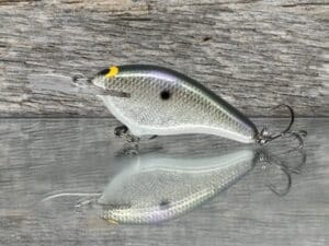 Black Label Balsa - Shiver 7 - Custom Balsa Crankbait - Gizzard Shad Foil color