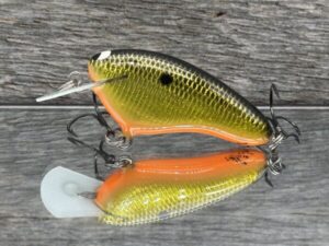 Black Label Balsa - Hickster - Signature Series Crankbait - Gold Foil Orange Belly Color