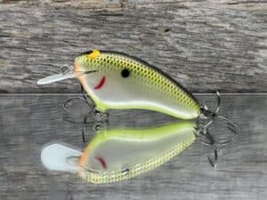Black Label Balsa - Hickster - Balsa Crankbait - Plemmons - Zoom WEC Hicky