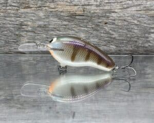 Black Label Balsa - Prowler MR - Custom Balsa Crankbait - JB's Gill color