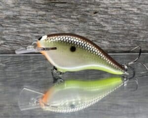 Black Label Balsa - Shiver 5 Shallow - Custom Balsa Crankbait - Slick color