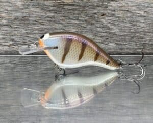 Black Label Balsa - Shiver 5 Shallow - Custom Balsa Crankbait - JB's Gill