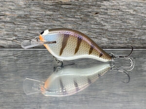 Black Label Balsa – Shiver 5 Shallow – Custom Balsa Crankbait – JB’s Gill