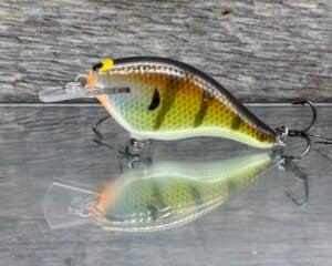 Black Label Balsa - Shiver 7 Shallow - Custom Balsa Crankbait - Bold Bluegill color