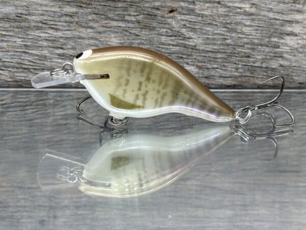 Black Label Balsa - Shiver 7 Shallow - Custom Balsa Crankbait - Baby Bluegill color