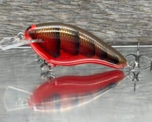 Black Label Balsa - Shiver 7 Shallow - Custom Balsa Crankbait - Habanero color