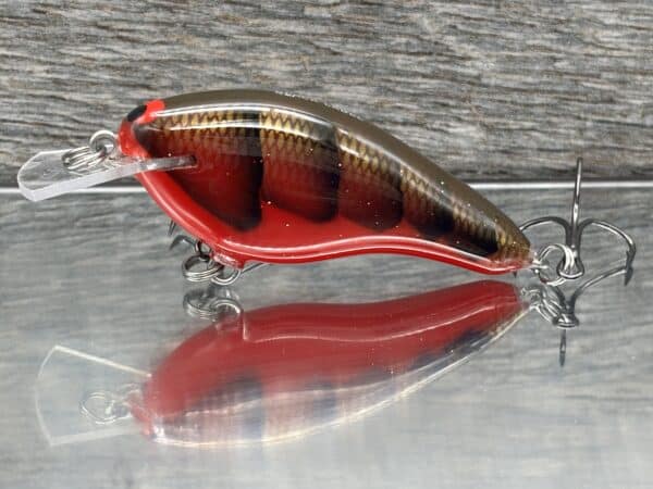 Black Label Balsa - Shiver 7 Shallow - Custom Balsa Crankbait - Habanero color