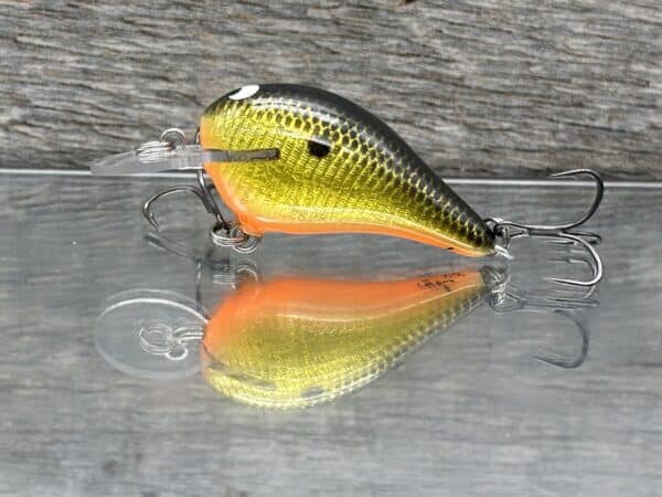 Black Label Balsa – Rumble-Signature Series – Balsa Crankbait – Gold Foil Orange Belly color