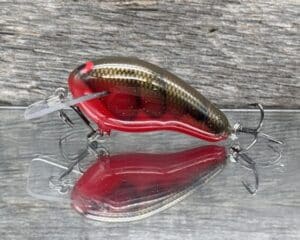 Black Label Balsa - Prowler - Custom Balsa Squarebill Crankbait - Habanero
