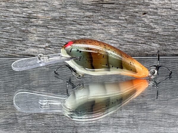 Black Label Balsa – Rock Hound – Custom Balsa Crankbait – Molting Craw Color