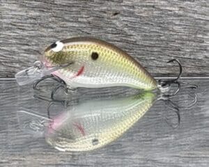 Black Label Balsa - Badger SR Squarebill Signature Series - Custom Balsa Crankbait - Foiled Cliff's Secret