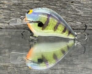 Black Label Balsa - Wreck Signature Series Crankbait - Candy Gill Color - Zoom WEC E-1