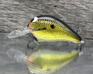 Black Label Balsa - Rumble MR Signature Series - Custom Balsa Crankbait - Gold Foil