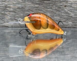 Black Label Balsa - Stump Knocker - Custom Balsa Squarebill - Fall Craw color