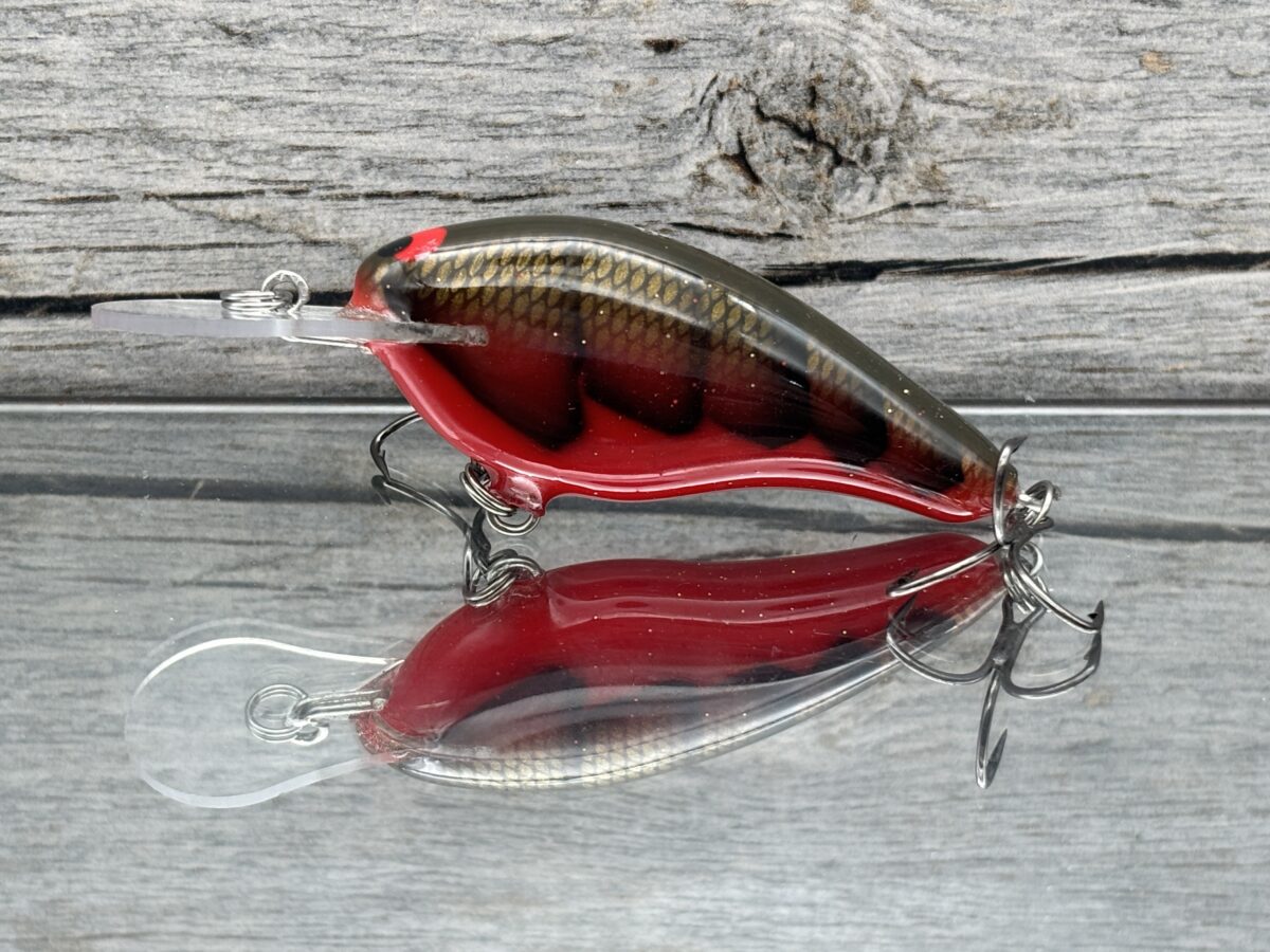 Black Label Balsa - Shiver 7 - Custom Balsa Crankbait - Habanero color