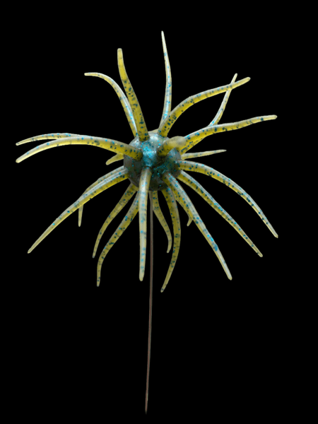 Black Label Plastics - OFO 24.5mm - Blue Craw color