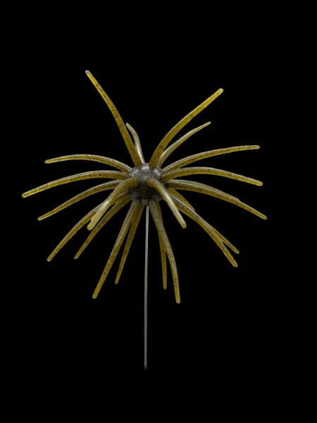 Black Label Plastics - OFO 20mm - Image 18