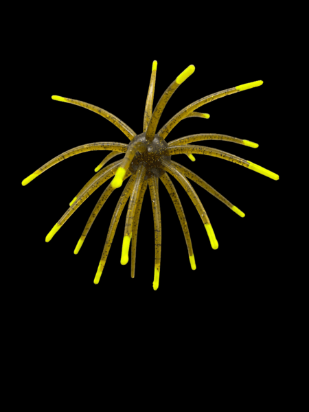 Black Label Plastics - OFO 20mm - Image 17