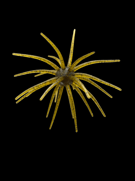 Black Label Plastics - OFO 20mm - Image 16