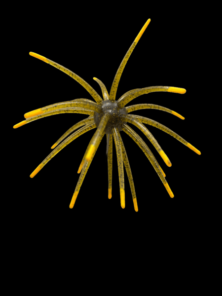 Black Label Plastics - OFO 20mm - Image 12