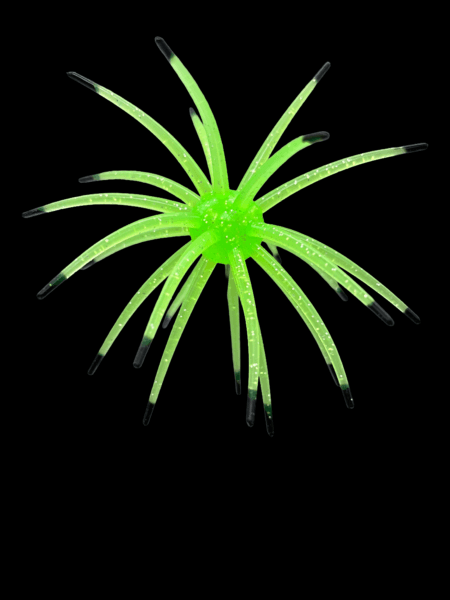 Black Label Plastics - OFO 21mm - Firefly color